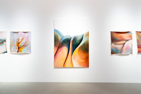 Frontalansicht von Lisa Sophie Langhans Malerei 