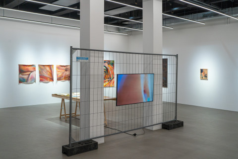 Ein Fehrnsehr an einem Bauzaun welcher Video Aufnahmen von der Künstlerin Lisa Sophie Langhans zeigt auf welcher nackte Körpernahaufnahmen zu sehen sind